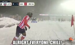 Everyone chill memes