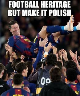 It polish memes