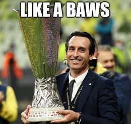 Like a baws memes