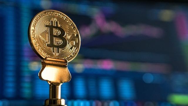 bubinga registration promo btc