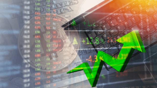 bubinga crypto saving
