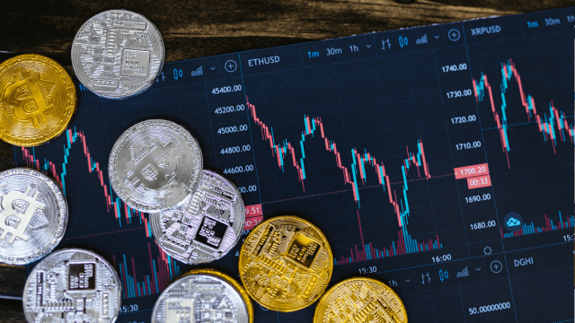 beginner crypto investing guide